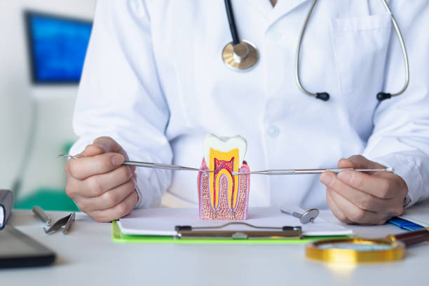 Best Walk-In Emergency Dental Services in Friendswood, TX